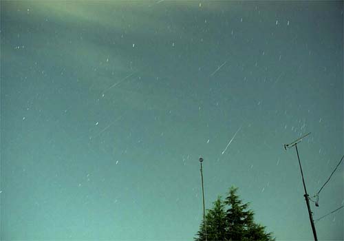 北斗七星の柄杓の柄のあたりです。思ったよりもたくさんの流星が写っていました